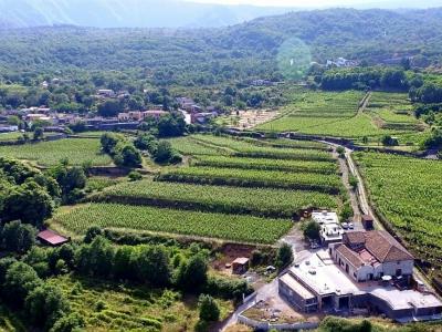 Degustazione vini Milo - I Vigneri - Palmento Caselle - I Vigneri di Salvo Foti