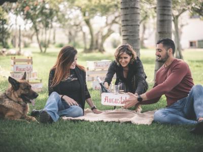 PICNIC ON THE LAWN AMONG WINES, TYPICAL PRODUCTS AND NATURE Tasting - Augustali Farm - AUGUSTALI Winery