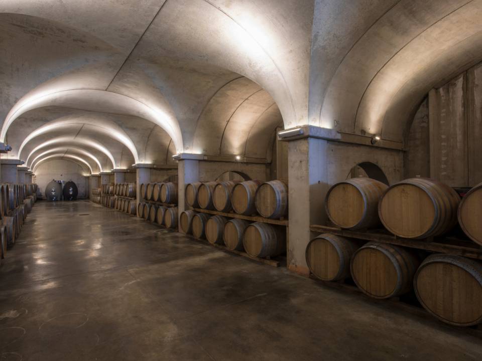 Degustazione vini Val Di Noto - Feudo Maccari 6