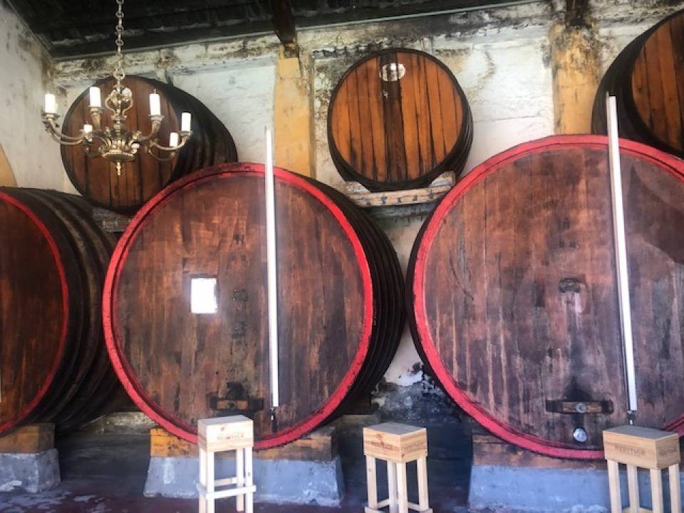 winery Cantine Intorcia2