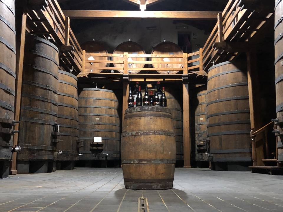 winery Cantine Patria5