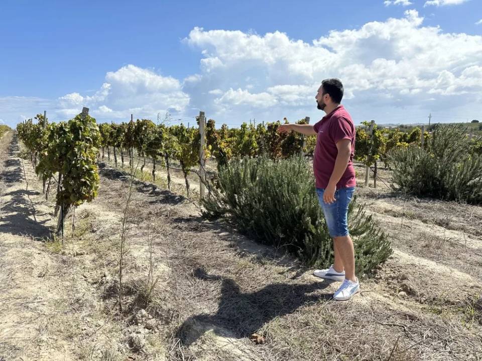 winery Tenuta La Favola4