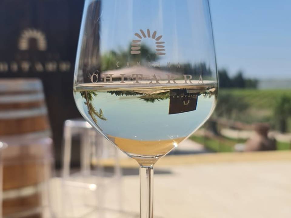 winery Cantina Chitarra2