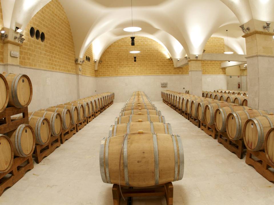 Assuli Winery - winery Assuli14