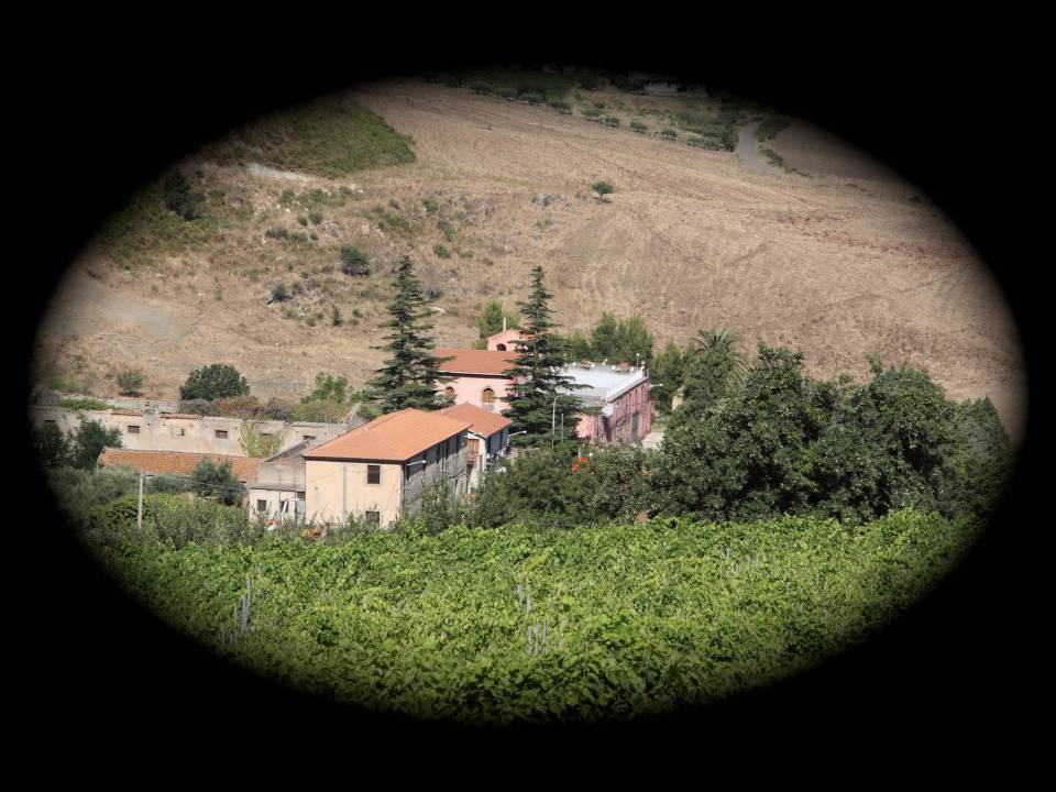 winery Tenuta Gatti1