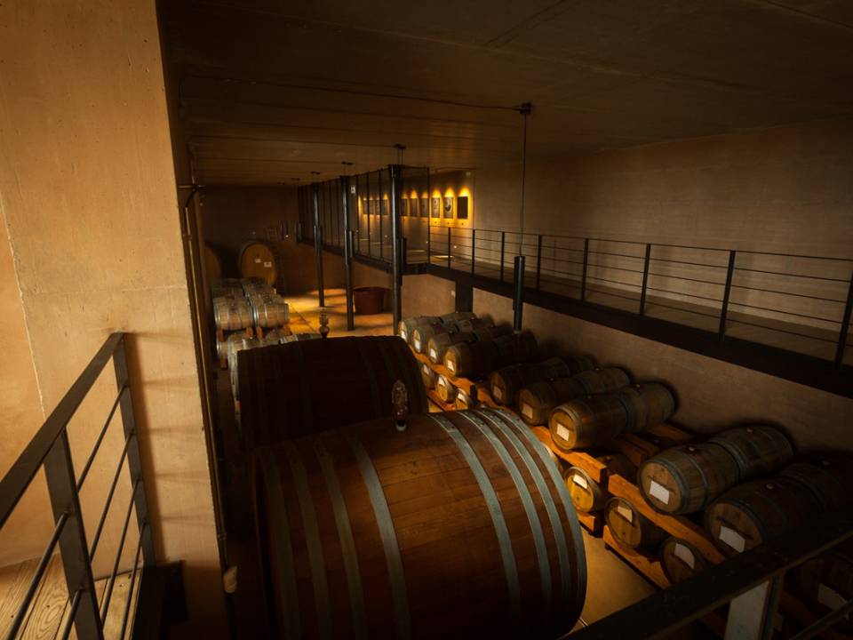 winery Mandrarossa4