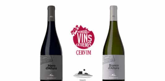 Tenute Lombardo, premiata come migliore azienda Italiana di viticoltura eroica al 31º concorso Mondial des vins Extrêmes