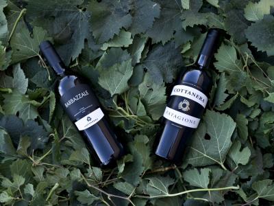 Etna Wines Tasting - Cottanera