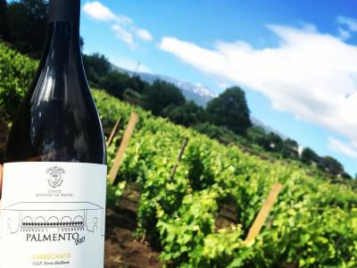 Etna Wine Tasting Deluxe - Tenute Mannino di Plachi - Le Sciarelle Farm