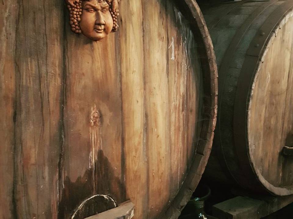 Etna Wine tasting - Le Sciarelle - Tenute Mannino di Plachi - Le Sciarelle Farm 2