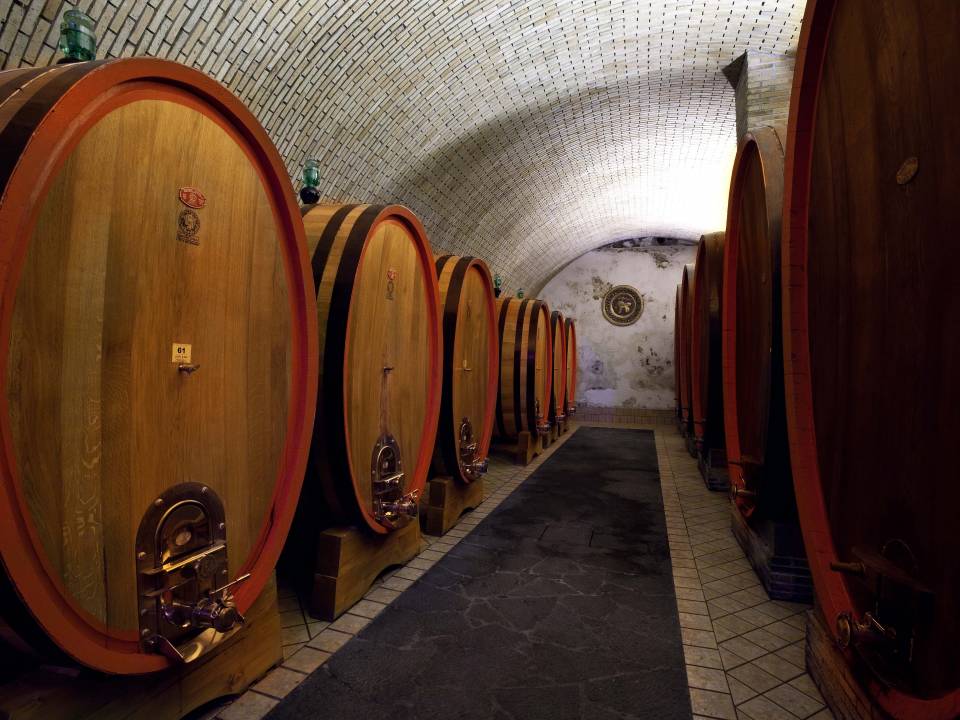 Degustazione Etna Experience Classic - Antichi Vinai - Cantina Antichi Vinai 1877 1
