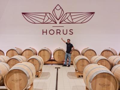 CANTINA HORUS: BASIC TASTING - Horus winery - HORUS WINERY