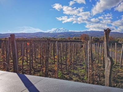 Lunch and Etna Wine Tasting with Vineyard Tour Tasting - Emilio Sciacca Etna Wine