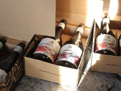 Degustazione di vini Etna con prodotti locali - Emilio Sciacca Etna Wine