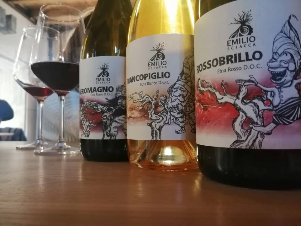DEGUSTAZIONE TECNICA VINI ETNA E GIRO IN VIGNA - Emilio Sciacca Etna Wine 1
