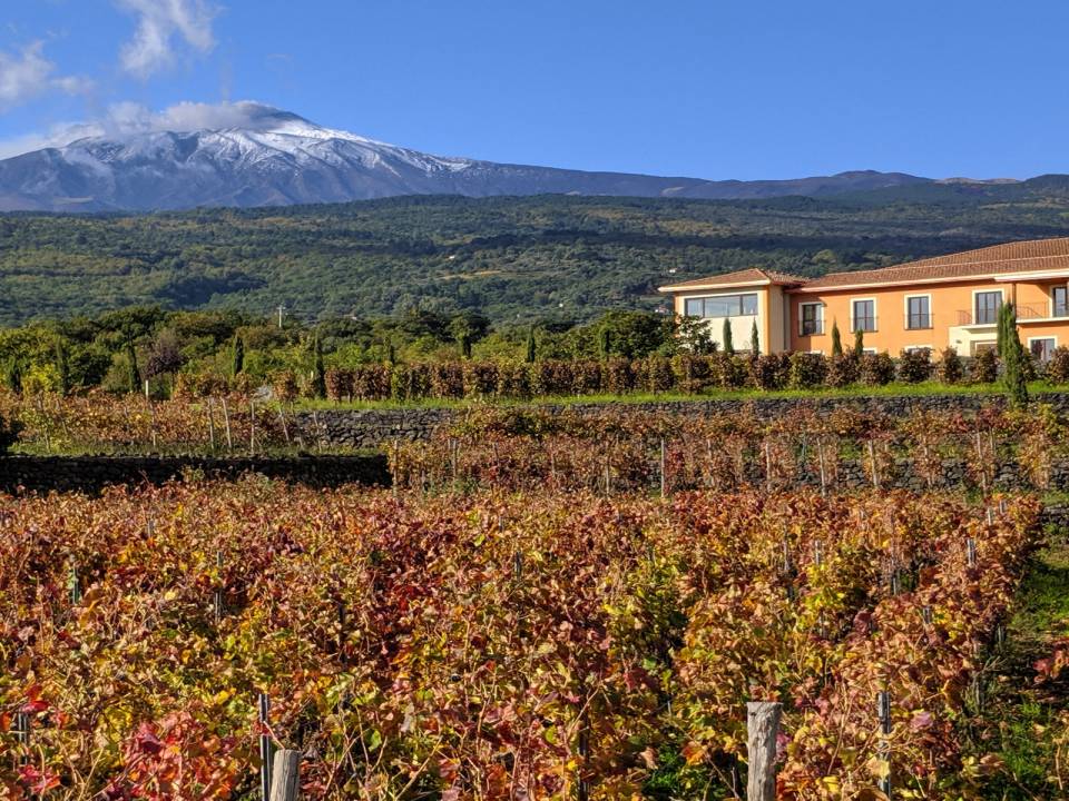 Etna Experience at Vivera winery Tasting - Vivera - Vivera Contrada Martinella Farm 1