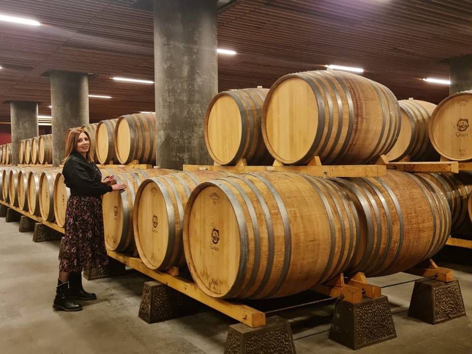 Discovering the Terroirs of Chiaramonte Premium Tasting - Winery Gulfi - Locanda Gulfi Winery 6