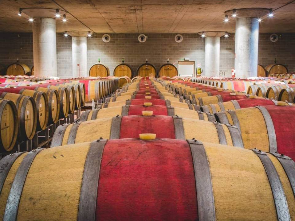 SURPRISING SICILY Tasting - Baglio di Pianetto - Pianetto's Estate Winery 3
