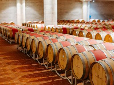 ORIGINS AND INTEGRATION Tasting - Baglio di Pianetto - Pianetto's Estate Winery