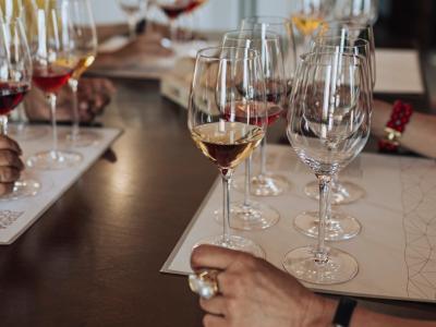 Vertical Wine Tasting Etna - Terra Costantino - Terra Costantino Winery