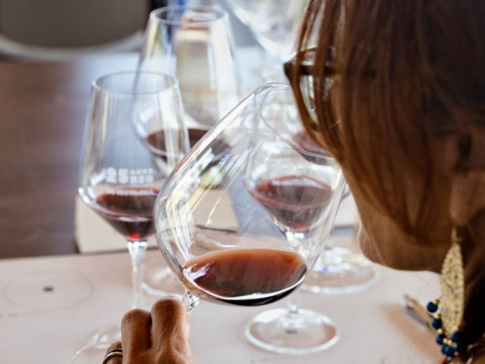 Nero d'Avola vertical tasting - Winery Di Giovanna - Cantina Di Giovanna Winery 3