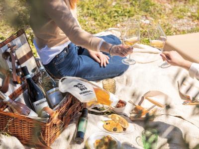 Picnic in the Vineyards for Two Tasting - Winery Di Giovanna - Cantina Di Giovanna Winery