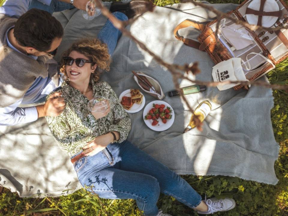 Picnic in the Vineyards for Two Tasting - Winery Di Giovanna - Cantina Di Giovanna Winery 3
