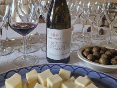 THE AUTOCHTHONS OF FEUDO DISISA Tasting - Feudo di Disisa - Feudo Disisa Winery
