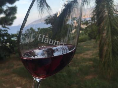 Three glasses Tasting - Hauner - HAUNER CARLO AZIENDA AGRICOLA Winery