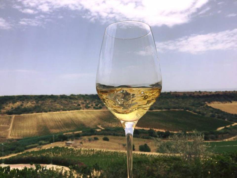 Wine Experience Tasting - Feudi del Pisciotto - Feudi del Pisciotto Winery 1