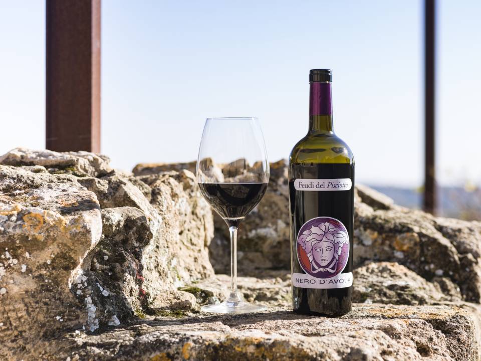 Wine Experience Plus Tasting - Feudi del Pisciotto - Feudi del Pisciotto Winery 3