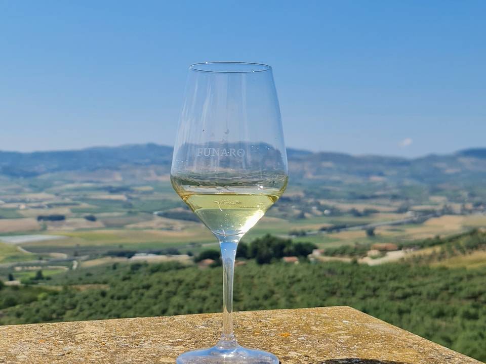 Funaro Azienda Vinicola winery2