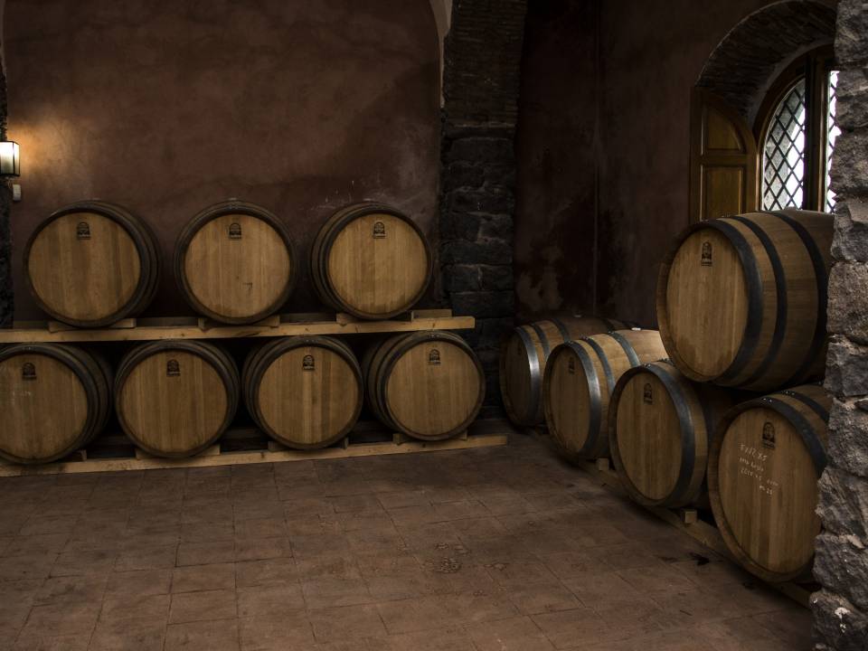 Torre Mora winery6