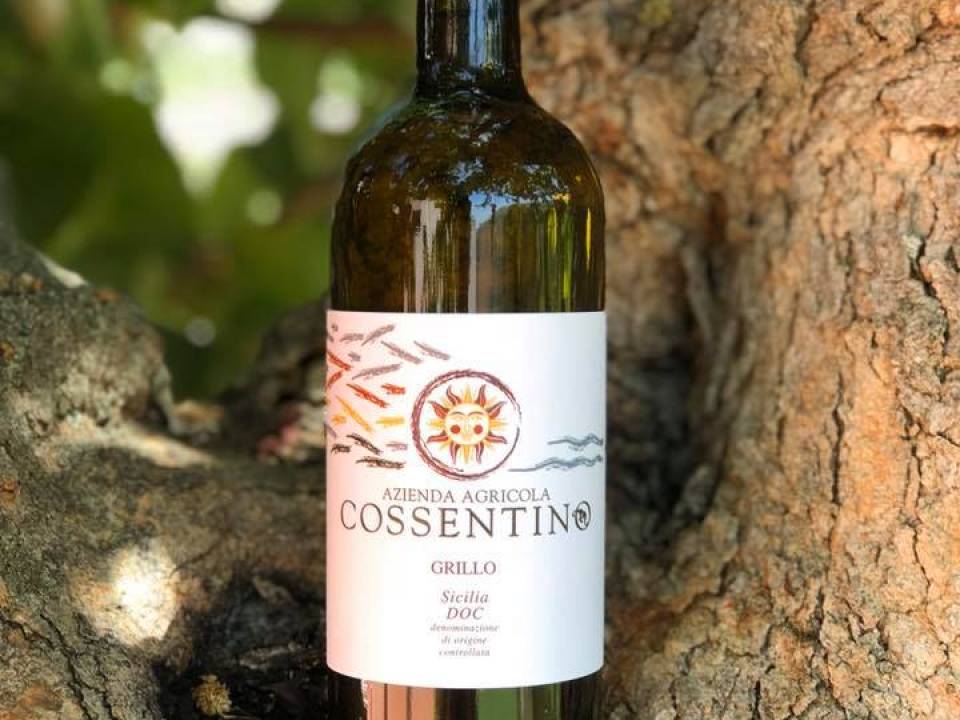 Azienda Agricola Cossentino winery4