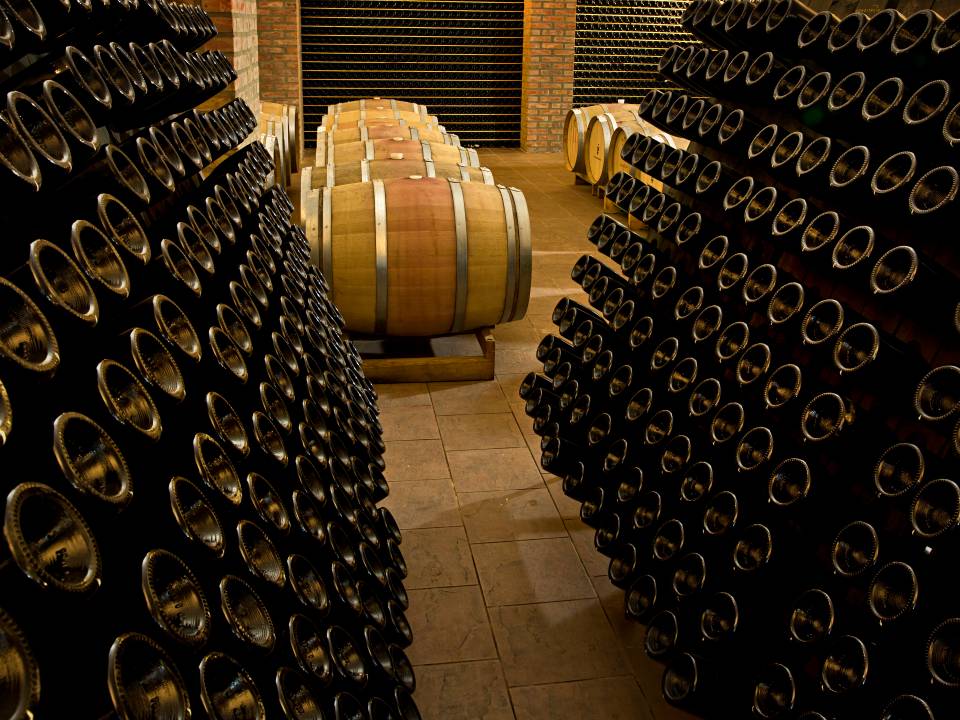 Azienda Agricola G. Milazzo winery7