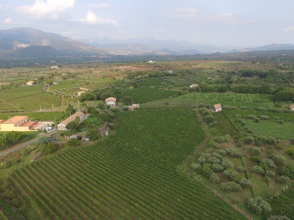 Azienda Agricola Filippo Grasso winery8