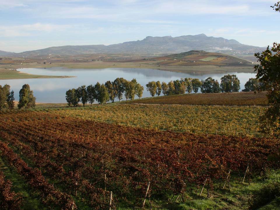 Azienda agricola Gaspare Di Prima - winery Tenuta Di Prima2