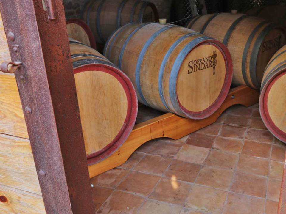 Soprano Sindaro winery4