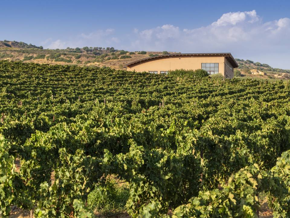 DONNAFUGATA - winery Donnafugata Vittoria1
