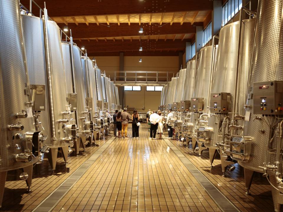 Donnafugata - Donnafugata Vittoria winery7