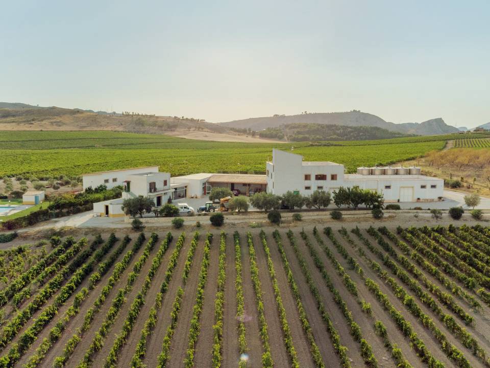 Tenuta Morreale Agnello winery1