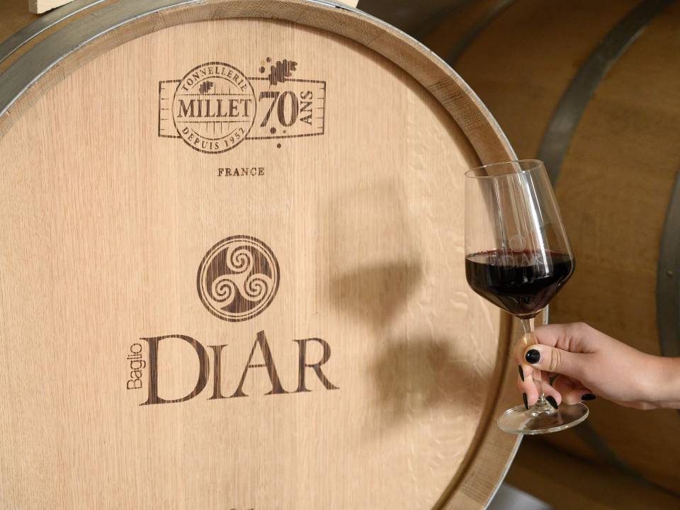Baglio Diar winery8