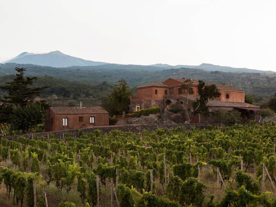Scilio - Tenuta Scilio di Valle Galfina winery3