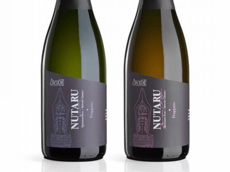 winery Avide Vigneti & Cantine7