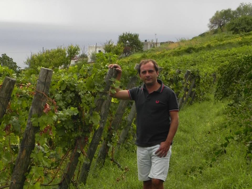 Le Casematte winery5