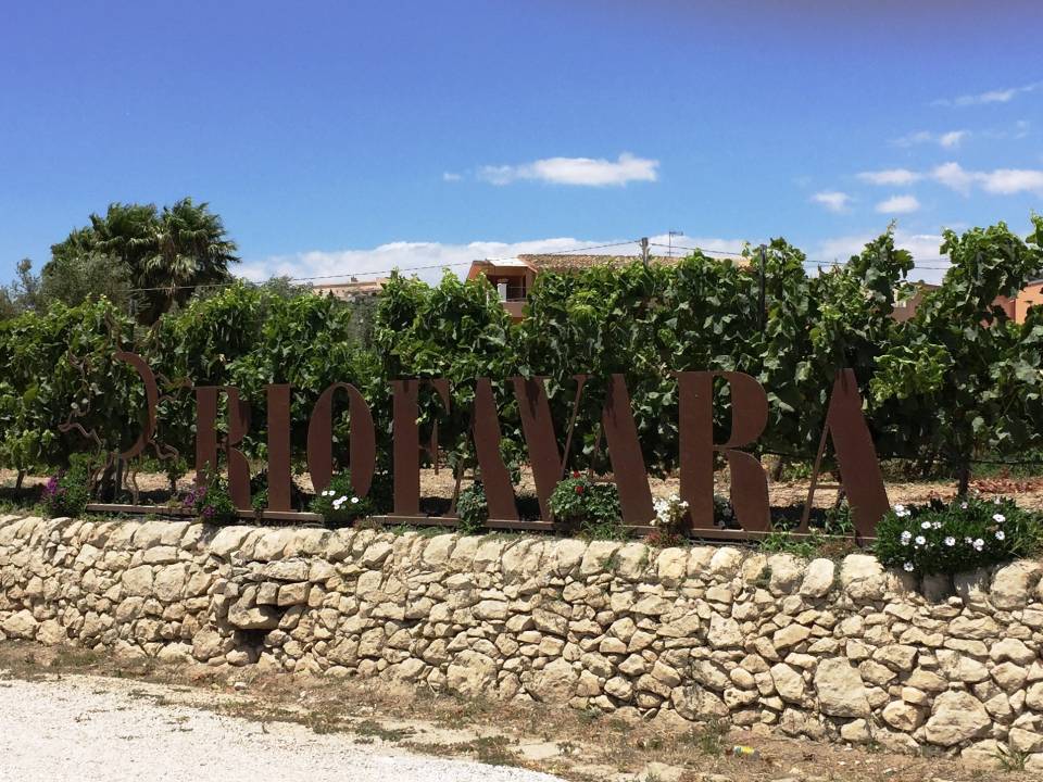 Riofavara - winery Riofavara vineyards