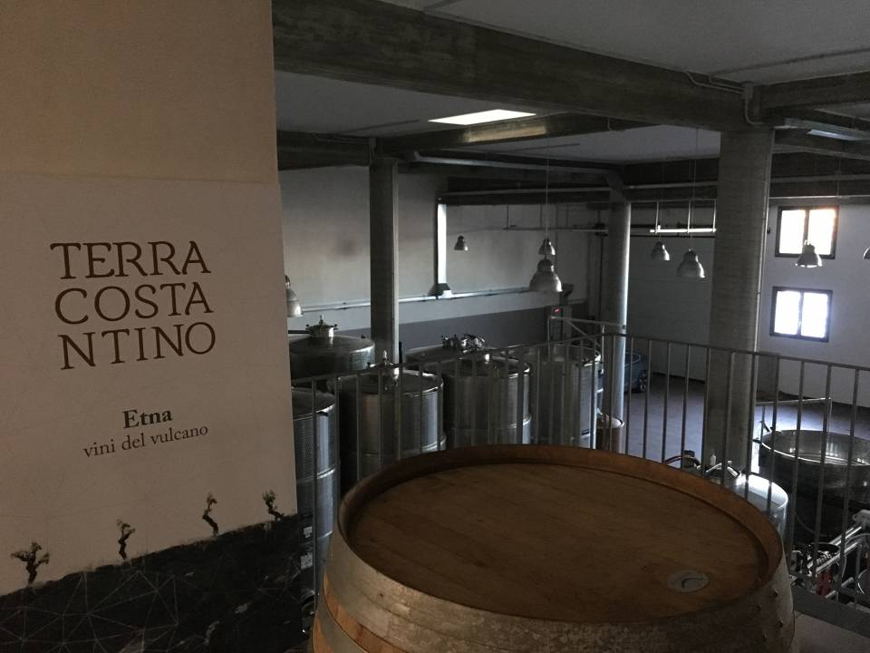 Terra Costantino - Terra Costantino winery1