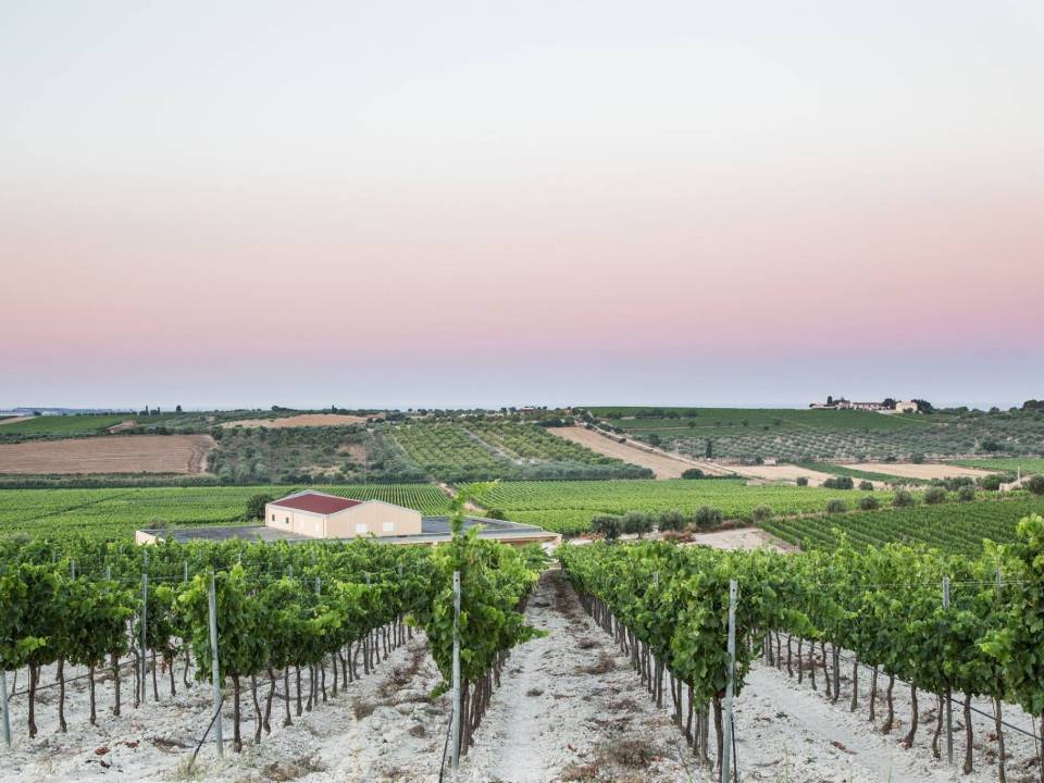 Baglio di Pianetto - Baroni's Estate winery2