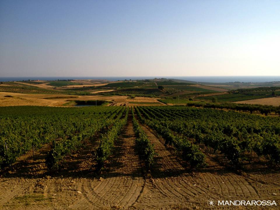 winery Mandrarossa7