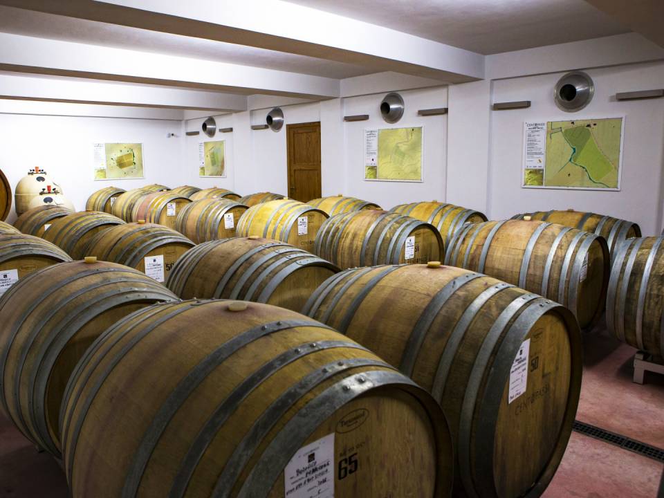 Centopassi winery5